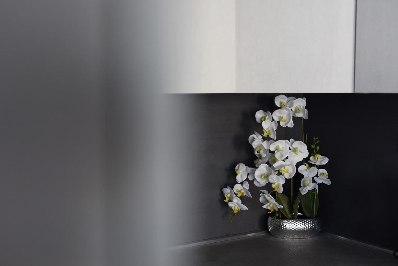 Apartman Niko Zadar Zewnętrze zdjęcie